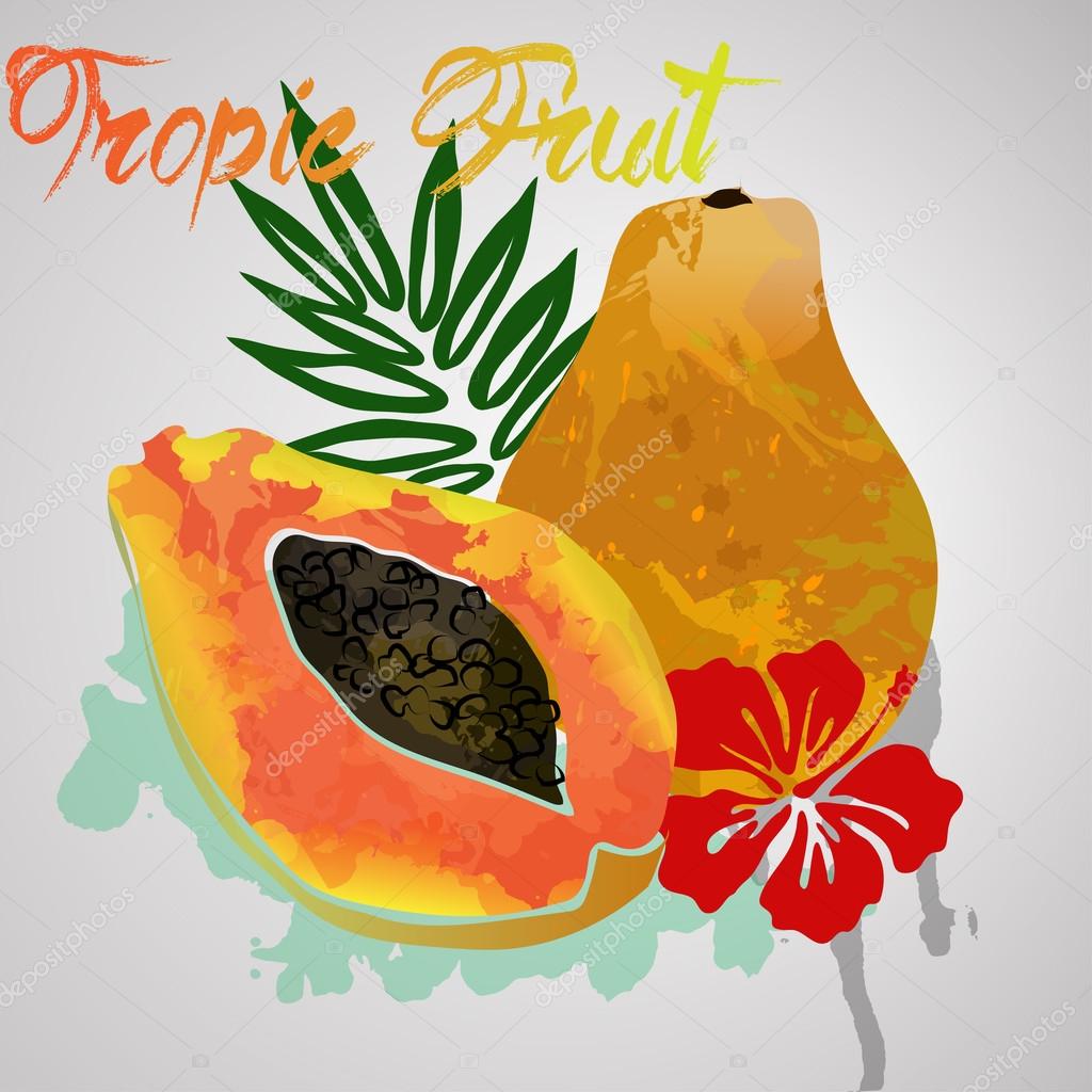 Papaya with color splash and tropic leaf vector