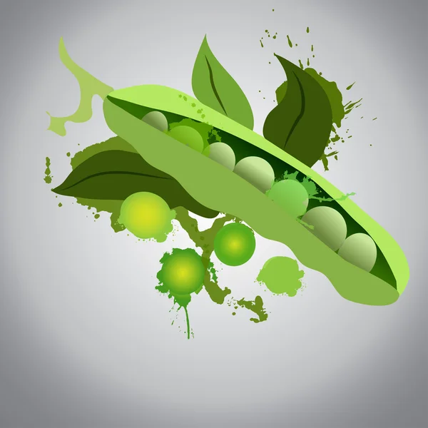 Pea pods green and fresh — Stock Vector