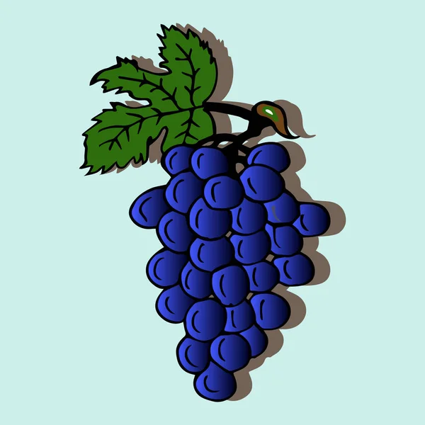 Векторная Иллюстрация Баннер Открытка Логотип Куча Винограда Тенью Синем Фоне — стоковый вектор