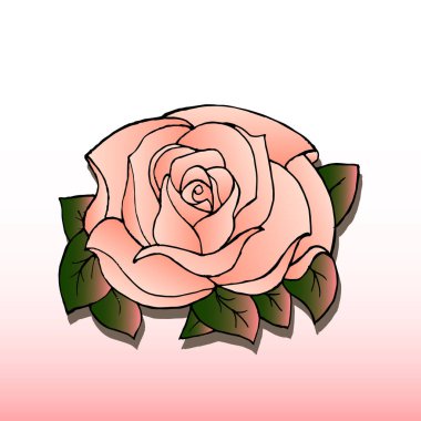 vector illustration, floral background, tender pink roses on a white - pink gradient, for background, cards, invitations