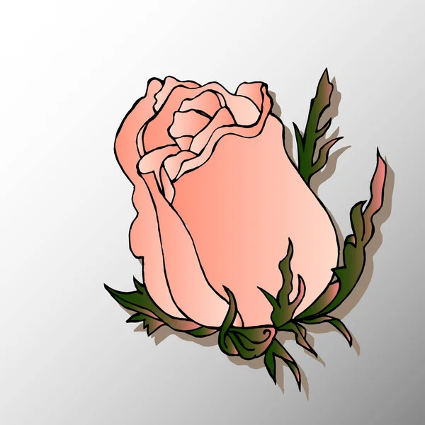 Ilustración Vectorial Fondo Floral Rosas Rosadas Tiernas Sobre Gradiente Blanco — Vector de stock