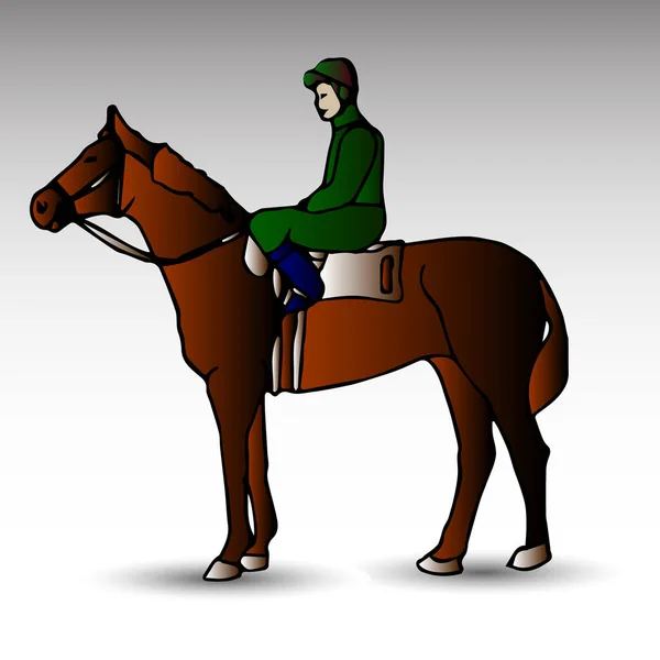 Vectorillustratie Van Ruiter Paard Paard Ruitersport Kleurontwerp — Stockvector