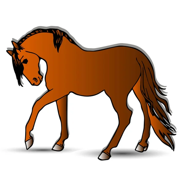 Vector Illustration Lonely Bay Horse Horses Equestrian Sport Color Design — Stock Vector