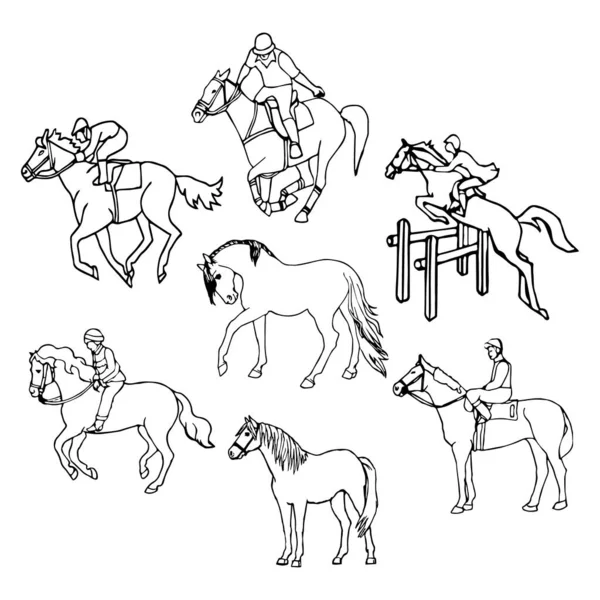 Vectorillustratie Set Iconen Rond Het Thema Paarden Paardensport Outline Design — Stockvector