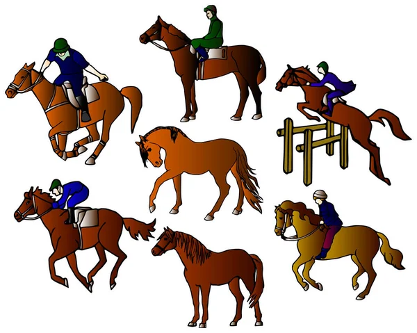 Vector Illustration Set Icons Theme Horse Equestrian Sport Color Design — Stock Vector