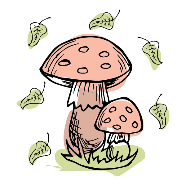 Illust Omtrek Champignons Amanita Herfst Loof Geschilderd Abstract Voor Papier — Stockvector