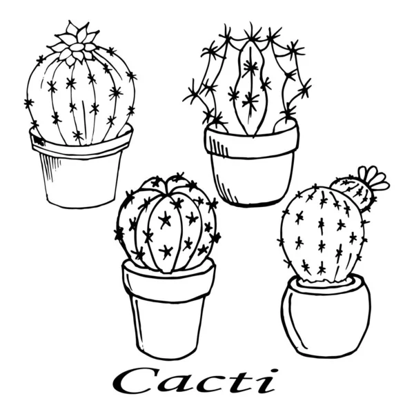 Illust Ansichtkaart Getrokken Contour Cactussen Potten Voor Papier Textiel — Stockvector