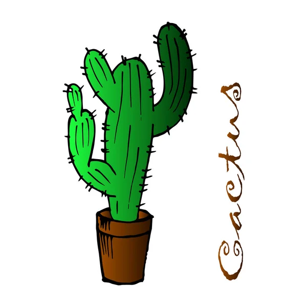 Illustration Carte Postale Cactus Dessiné Dans Pot Pour Papier Textiles — Image vectorielle