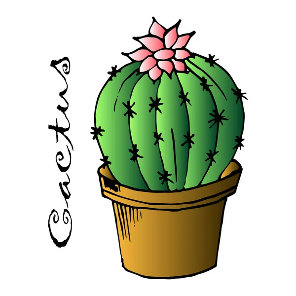 Illust Postal Cactus Dibujado Una Olla Para Papel Los Textiles — Vector de stock