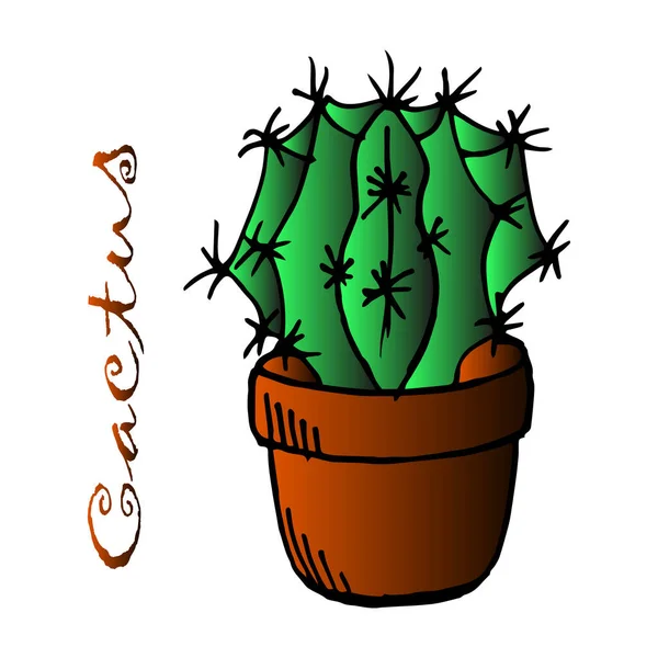 Illustration Carte Postale Cactus Dessiné Dans Pot Pour Papier Textiles — Image vectorielle