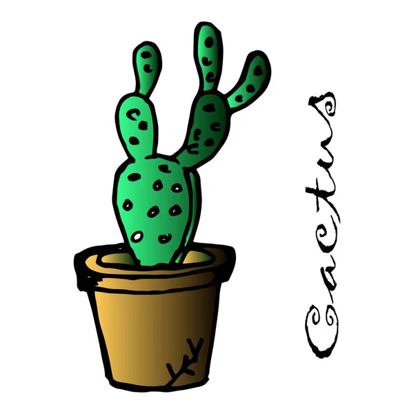 Illustration Carte Postale Cactus Dessiné Dans Pot Pour Papier Textiles — Image vectorielle