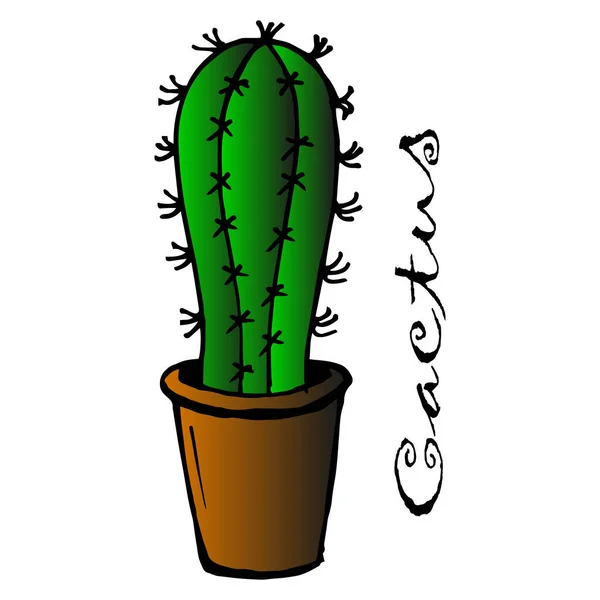 Illust Postal Cactus Dibujado Una Olla Para Papel Los Textiles — Vector de stock