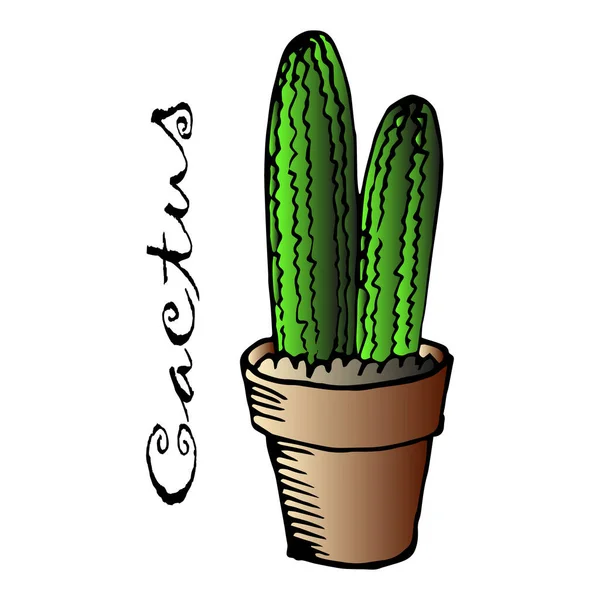Illust Ansichtkaart Getrokken Cactus Een Pot Voor Papier Textiel — Stockvector