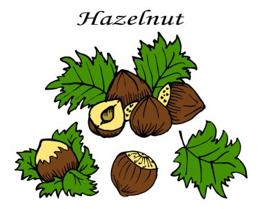 Resim, renkli fındık seti, kağıt ve tekstil için.