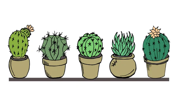 Illustratie Een Set Van Veelkleurige Verschillende Cactussen Bloempotten Voor Textiel — Stockvector