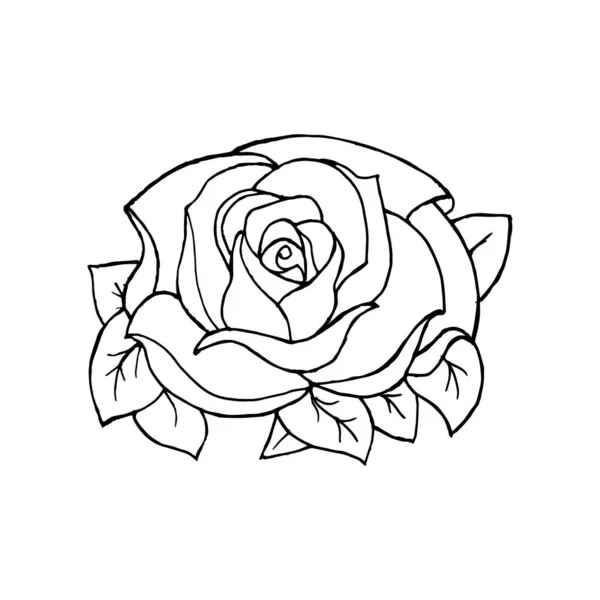 Иллюстрация Контур Нарисованной Розы Открыток Плакатов Узоров Баннеров — стоковый вектор