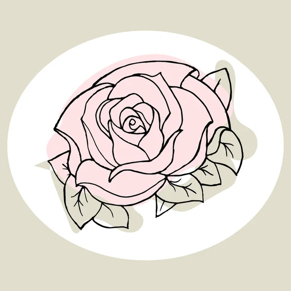 Illustration Contour Une Rose Dessinée Peinte Couleurs Douces Pour Cartes — Image vectorielle