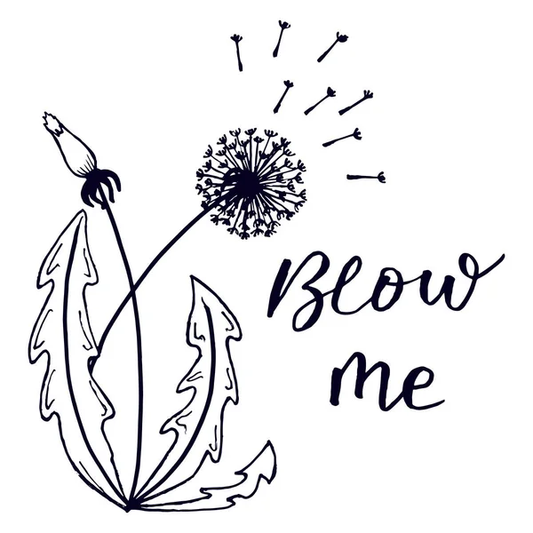 vector illustration, drawn contour dandelions and lettering, design for wallpaper, textiles, t-shirts, cards