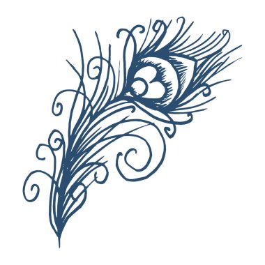 Resim, beyaz arkaplandaki tavus kuşu tüyleri, duvar kağıdı, tekstil, kartlar, desenler için