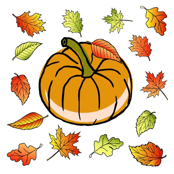 Autumn Illustration Drawn Pumpkin White Background Colorful Autumn Leaves Design — Stock Vector