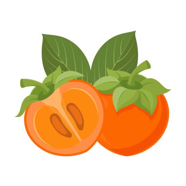 Fresh Persimmon fruit with green leaves. Tropical fruit illustration.