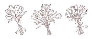 Bir dizi zarif lale buketi. Çiçekli hediyeler. Satır sanatı.