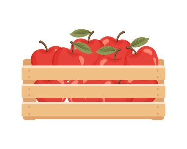 Olgun kırmızı elmalarla ahşap kutu. Yemek illüstrasyonu.