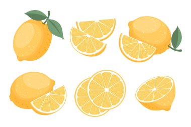 Dilimler ve yapraklarla taze sarı limon meyveleri koleksiyonu. Tropik meyve seti illüstrasyonu..