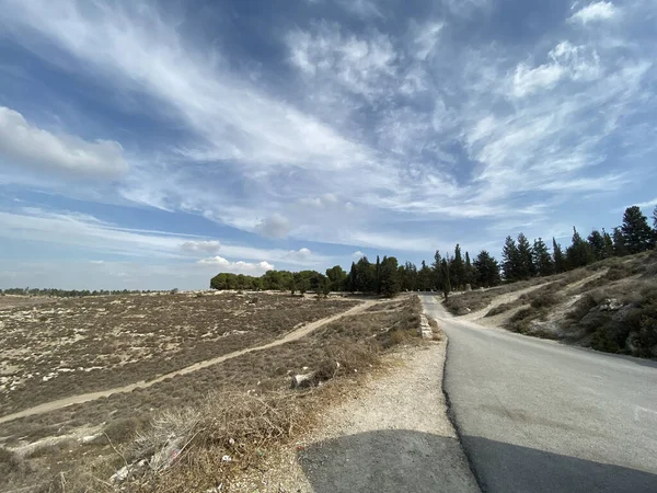 Vägen Skogen Landsbygden Israel — Stockfoto