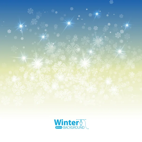 Variety of picturesque snowflakes — Stock Vector