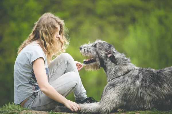 A hosszú haját ül egy hatalmas szürke kutya lány — Stock Fotó