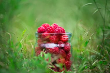 frash raspbarry bir cam kavanoza kalın parlak yeşil çim