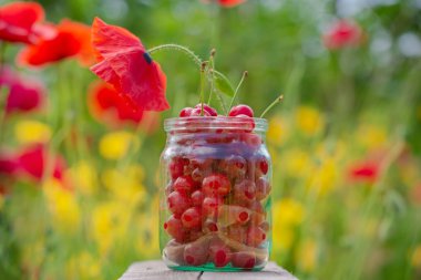 frash kiraz bir cam kavanoza parlak flowe masada kalmak