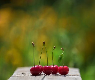Kiraz kalın parlak renkli arka plan üzerinde masaya