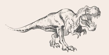 Kızgın hırıltı tam boy Tyrannosaurus Rex, vektör çizimi