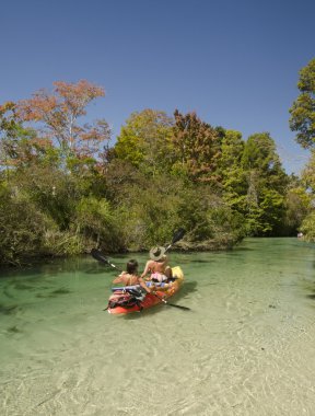 Kanocu kurabiyesi Wachee Nehri üzerinde.