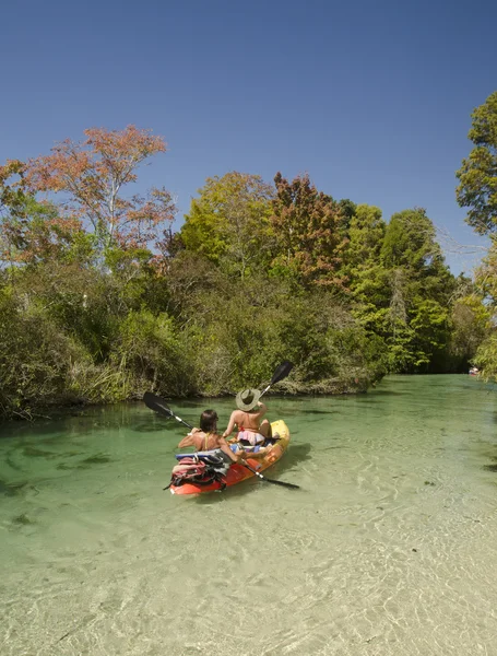 Kayakers on the Weeki Wachee river. — Stock Photo, Image