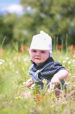Küçük yeni doğmuş çocuk tarlada beyaz panama şapkalı gelinciklerle oturuyor.