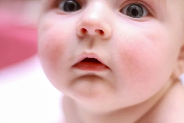 Wajah seorang anak laki-laki yang baru lahir dekat pipi bulat wajah — Stok Foto