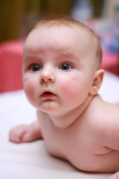 Face of a little newborn boy close-up cheeks round face — Stock Photo, Image