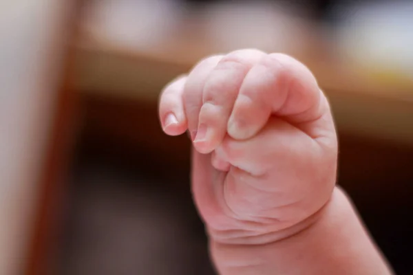 Main d'un nouveau-né gros plan. plie main de bébé — Photo