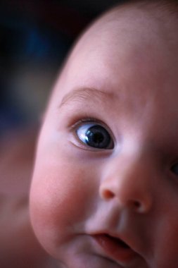 Yeni doğmuş küçük bir çocuğun yüzü. Yakından yanakları yuvarlak.