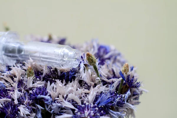 Seringa em flores. Procedimentos cosmológicos. Injeções, injeções. Doenças, tratamento, medicamento, vacina. — Fotografia de Stock