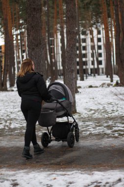 Genç anne bebeğiyle yürüyüşe çıktı. Kışın bebek arabasında gezen bir kız..