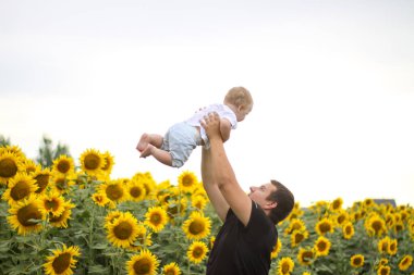 Esmer erkek baba ve tatlı çocuk sarışın oğul ayçiçeği tarlasında..