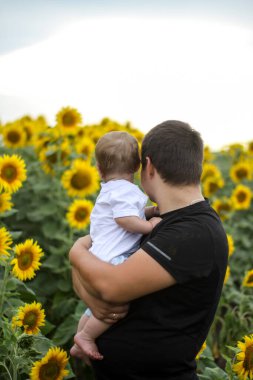 Esmer erkek baba ve tatlı çocuk sarışın oğul ayçiçeği tarlasında..