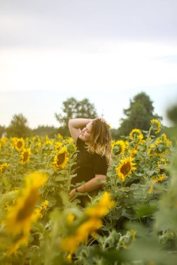 Ayçiçeği tarlasında esmer bir kız. Yaz akşamı. romantik yaz.