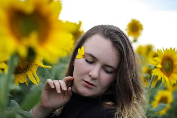 Junge brünette Mädchen in einem Feld von Sonnenblumen. Sommerabend. Romantischer Sommer. — Stockfoto