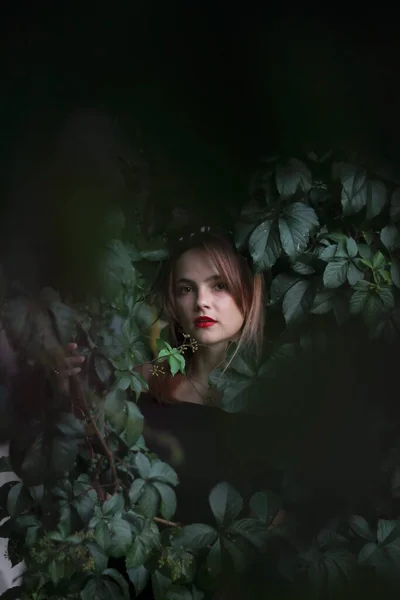 Herfst foto sessie van een mooi meisje met donker haar in het bos. — Stockfoto
