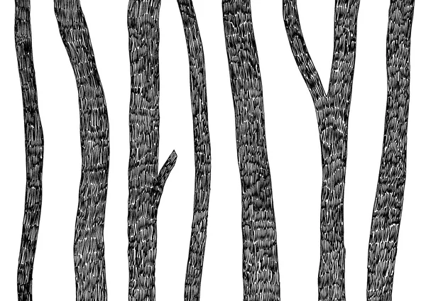 Borda de árvores desenhadas à mão — Vetor de Stock